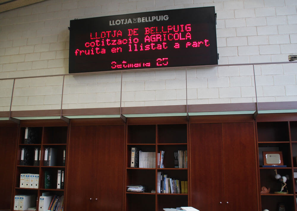 Llotja de Bellpuig
